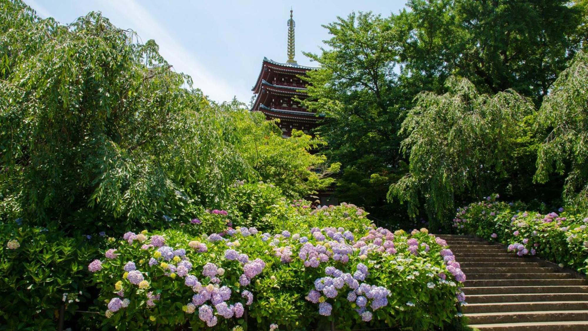 Toyoko Inn Matsudo Eki Higashi Guchi Exteriör bild